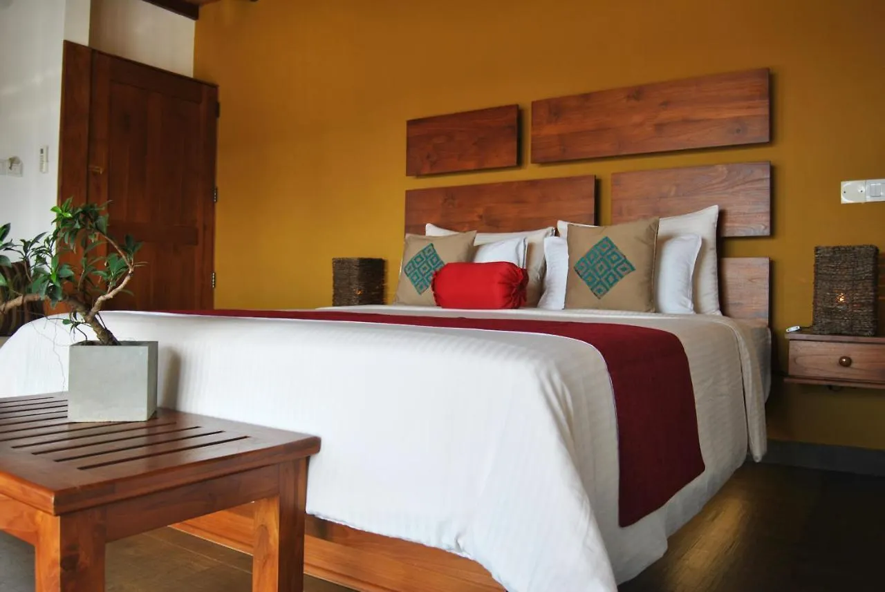 The Canoe Negombo